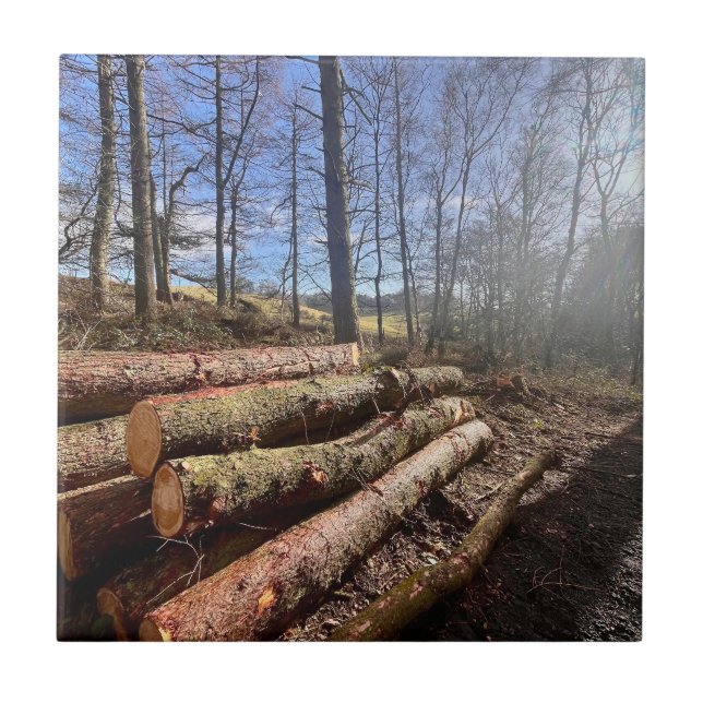 Landsidesloggar.. Kakelplatta (Framsidan)