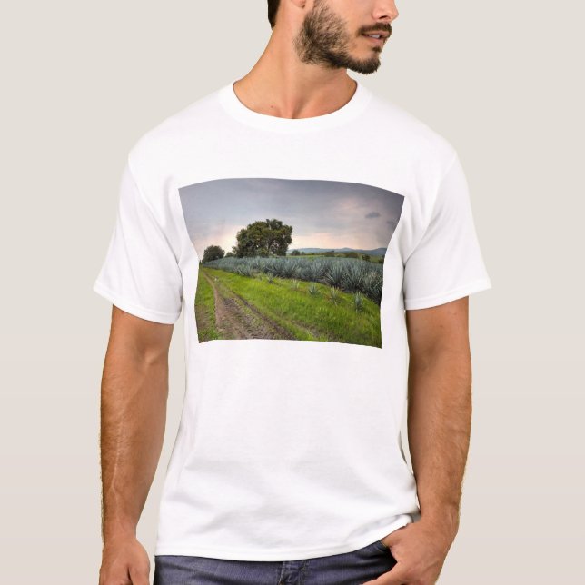 Landskap av blåttAgave Tee (Framsida)