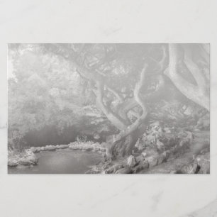 Landskap - den förbjudna skogen