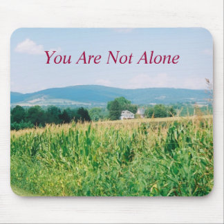 Landskap det södra berg, den Middletown dalen Musmatta