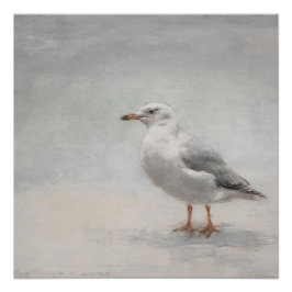 Landskap för kuststrutsstrupe Fiskmås Perfect Poster