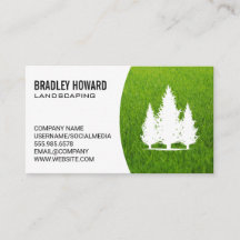 Landskap | Gräsmatta och Tall Träd