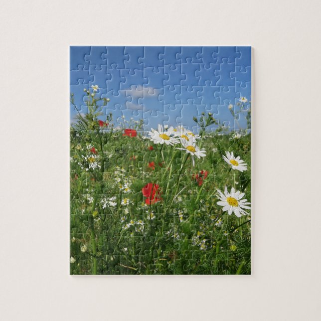 Landskap, himlar, blommor, sommar, ängar, fält pussel (Vertikal)