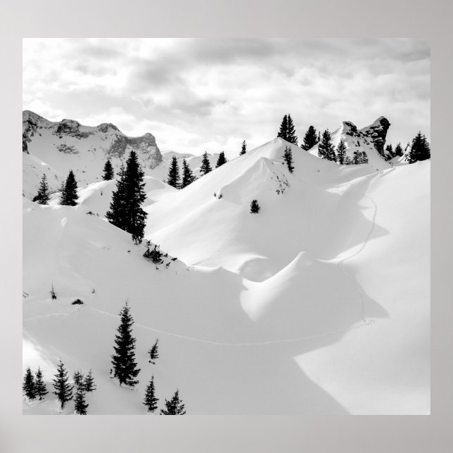Landskap i Alperna: Snöfira Träd-bergen Poster (Framsidan)