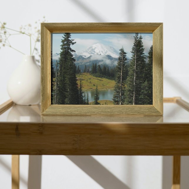 Landskap i det vetenskapliga berget Rainier Fototryck (In Situ Framed)