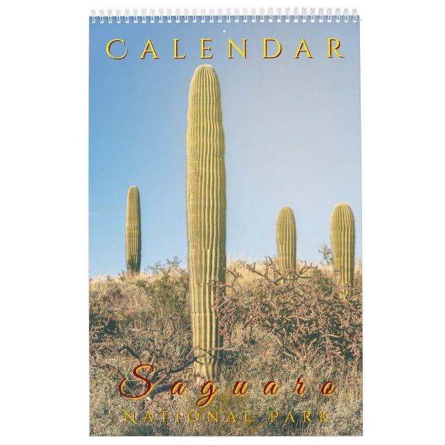 Landskap i nationalparken Saguaro Floras Kalender (Omslag)