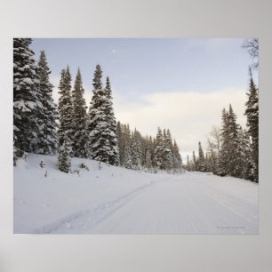 Landskap i snö poster