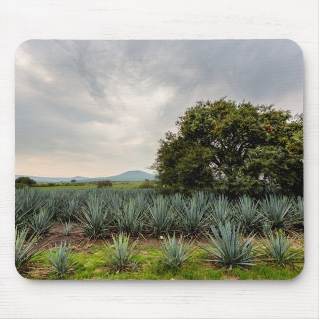 Landskap med blåttAgave Musmatta (Framsidan)