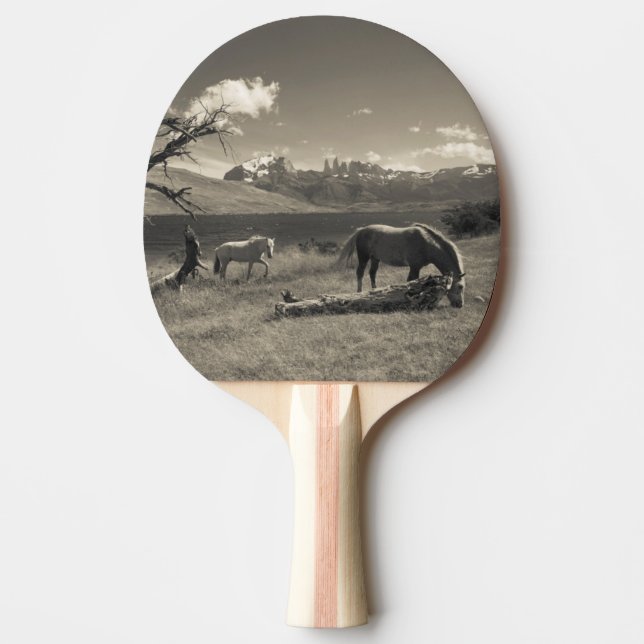 Landskap med hästar pingisracket (Framsidan)