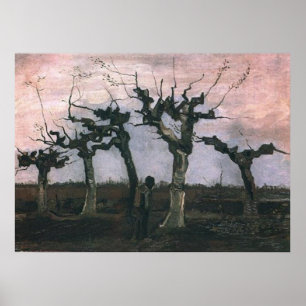Landskap med Pollard Willows Vincent van Gogh Poster