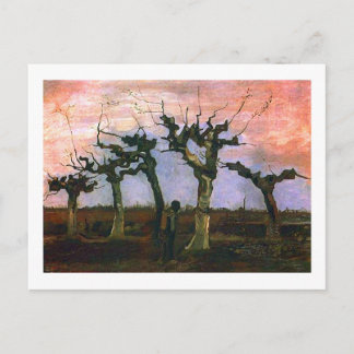 Landskap med Pollard Willows, Vincent van Gogh Vykort