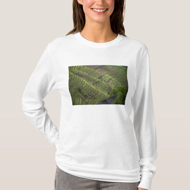 Landskap med risterrasser i bergen, tee shirt (Framsida)