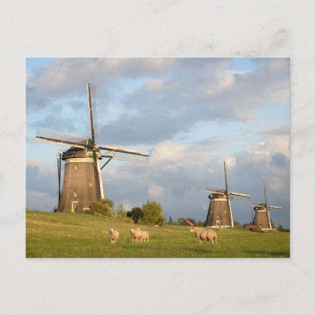 Landskap med väderkvarnar och får vykort (Framsida)