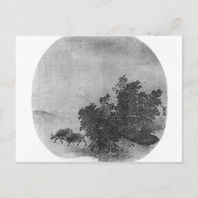 Landskap med vatten buffalo, Sång Dynasty Vykort (Framsida)