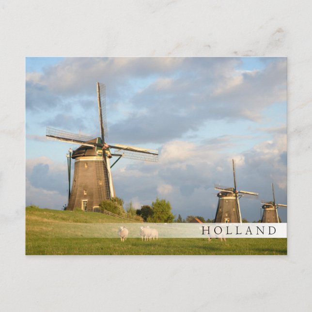 Landskap med vindkraftverk och får vykort (Framsida)