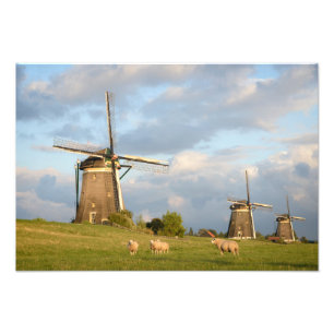 Landskap med windmills och får fototryck
