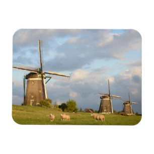 Landskap med windmills och får magnet