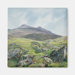 Landskap Snowdon Magnet