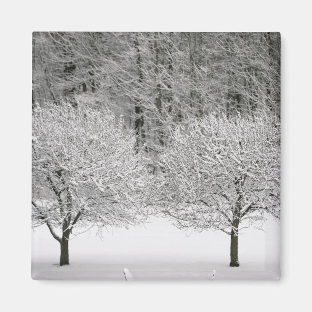 Landskap täckt av snö magnet (Framsidan)