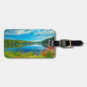 Landskap vid Costello Lake Bagagebricka