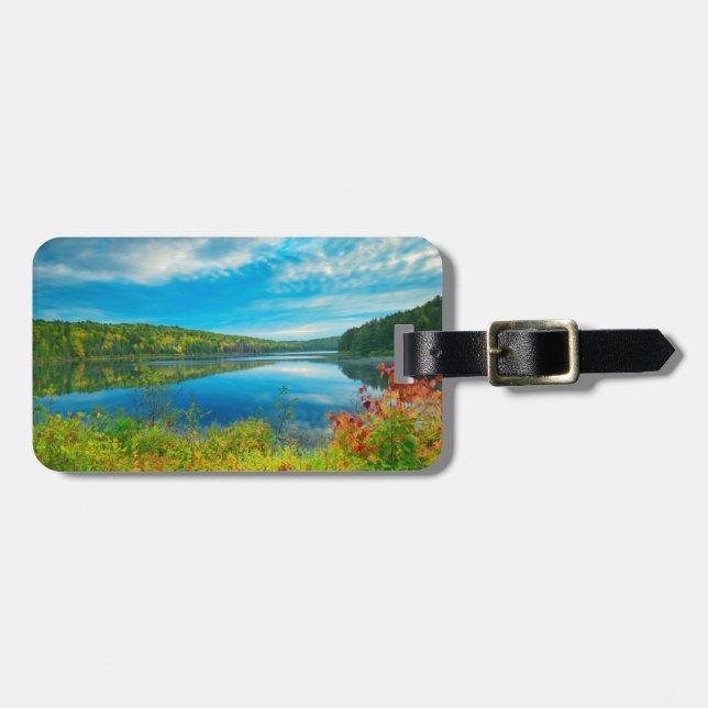 Landskap vid Costello Lake Bagagebricka (Horisontell Framsida)