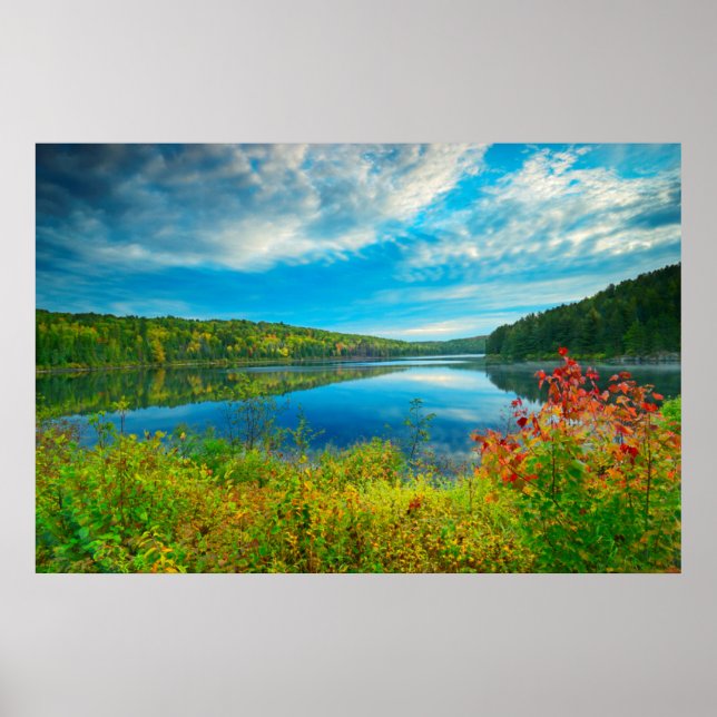 Landskap vid Costello Lake Poster (Framsidan)