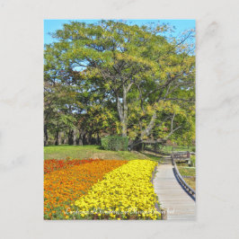 Landskapet Chinaberry och Marigold-bed Vykort