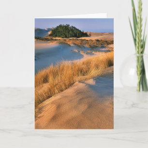Landskapet Oregon Sand Dunes Kort