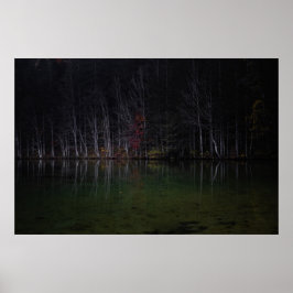 Landskapet träd i sjö poster