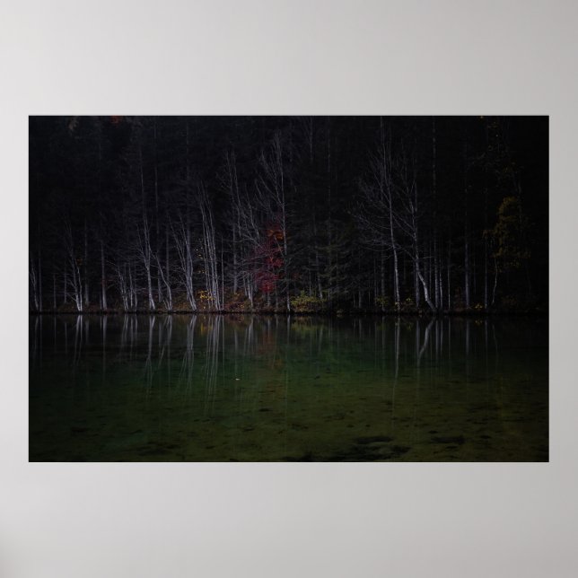 Landskapet träd i sjö poster (Framsidan)