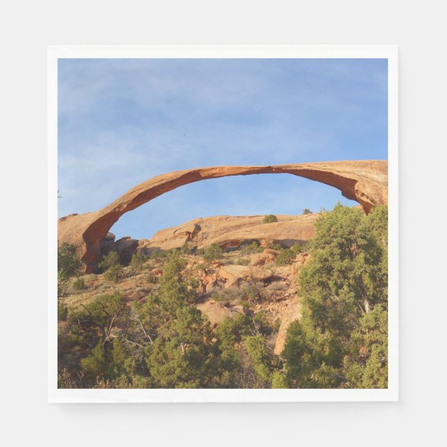 Landskapsbåge i Arches National Park Pappersservett (Framsidan)