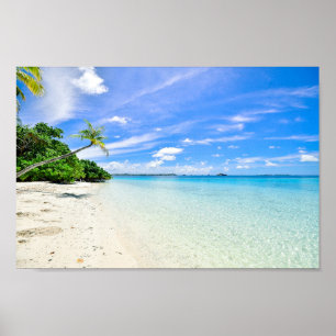 Landskapsfoto av Träd på Shoreline Poster