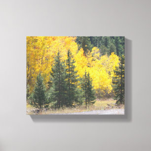 Landskapsfoto för hösten Gult Träd Aspen Canvastryck