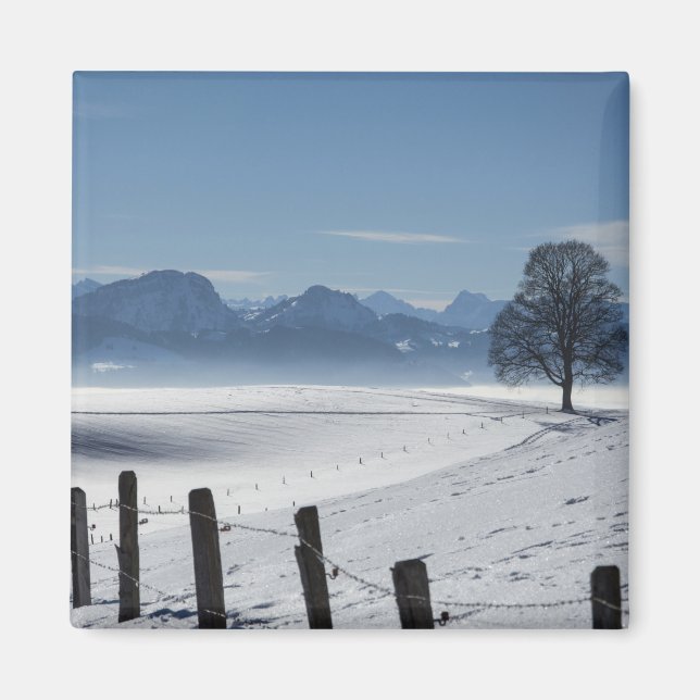 Landskapsfoto för vintervinterland magnet (Framsidan)