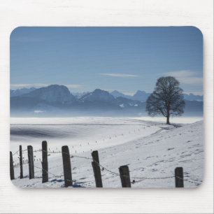 Landskapsfoto för vintervinterland musmatta