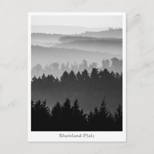 Landskapsfoto från Forest Hills Vykort