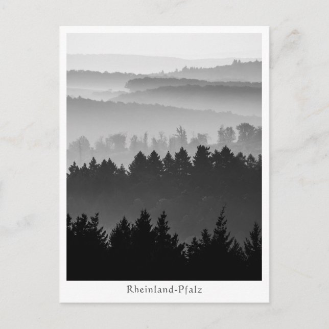 Landskapsfoto från Forest Hills Vykort (Framsida)