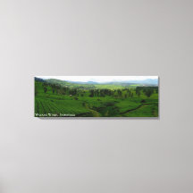 Landskapsfotografi av Mountain Hills teplantage