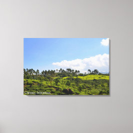 Landskapsfotografi av teplantage Indonesien Canvastryck
