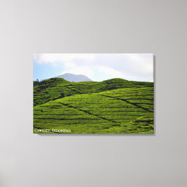 Landskapsfotografi av teplantage Indonesien Canvastryck