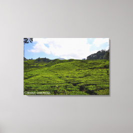 Landskapsfotografi av teplantage Indonesien Canvastryck