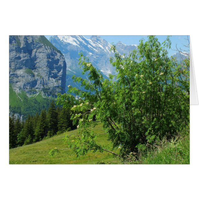 Landskapskort i Alperna Hälsningskort (Framsidan Horizontal)