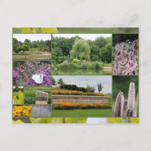 Landsparken Arboretum och botaniska trädgårdar Vykort