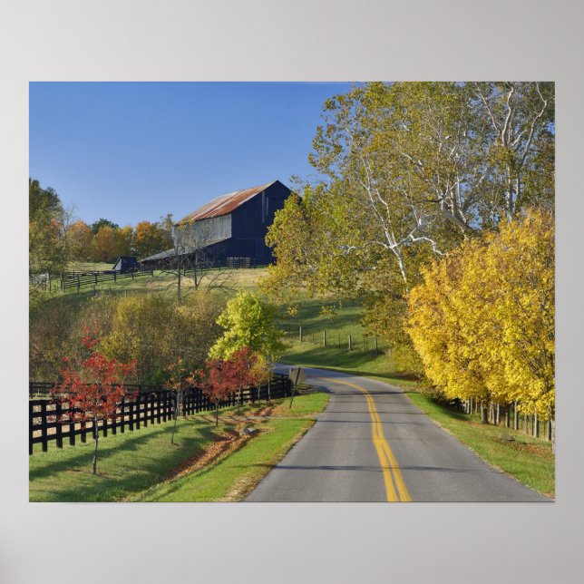 Landsväg genom Bluegrassregionen i Kentucky Poster (Framsidan)