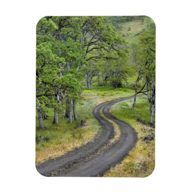 Landsväg genom träd, Oregon Magnet (Vertikal)