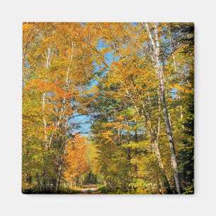 Landsväg höstfärger New Hampshire Magnet