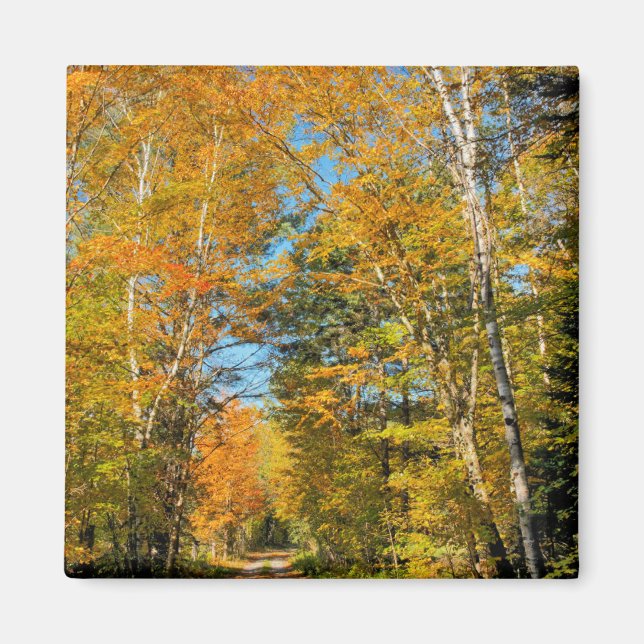 Landsväg höstfärger New Hampshire Magnet (Framsidan)
