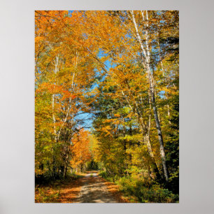 Landsväg Höstfärger New Hampshire Poster