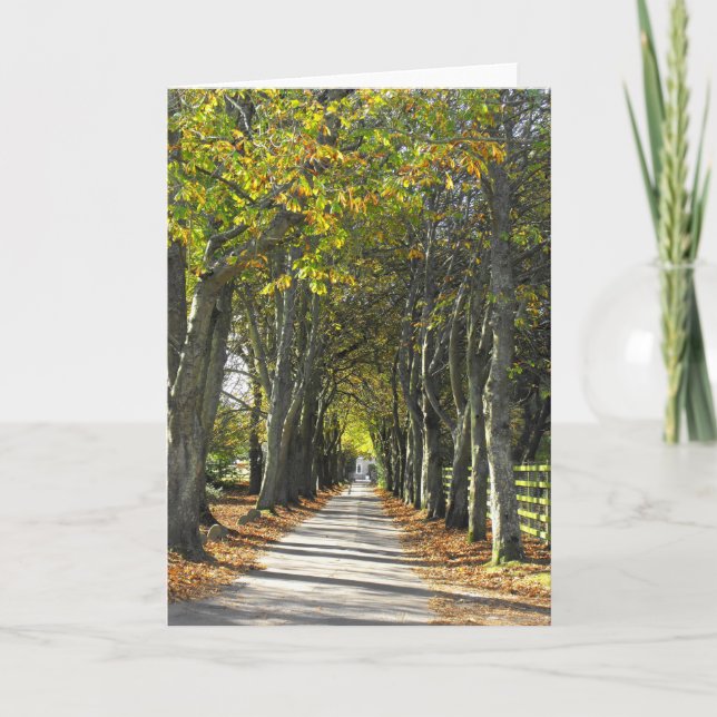 Landsväg på Jersey Helgkort (Framsida)