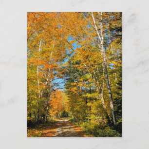 Landsvägen Höstfärger New Hampshire Vykort